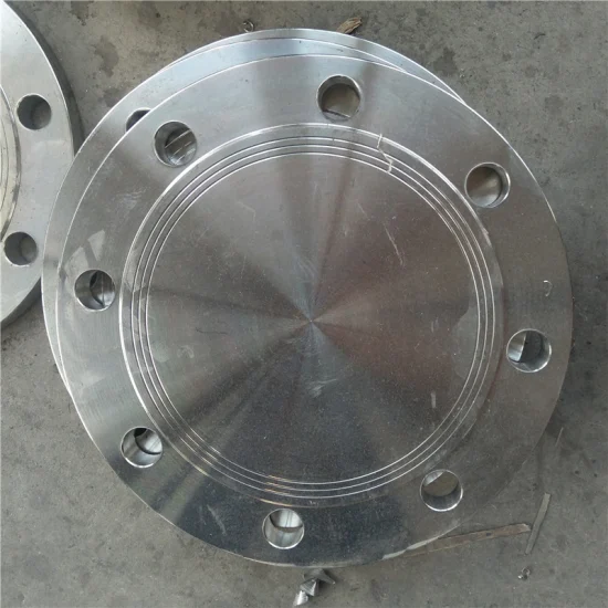 Flangia ANSI DIN 304 Flangia per tubo standard industriale da 12 pollici in acciaio inossidabile
