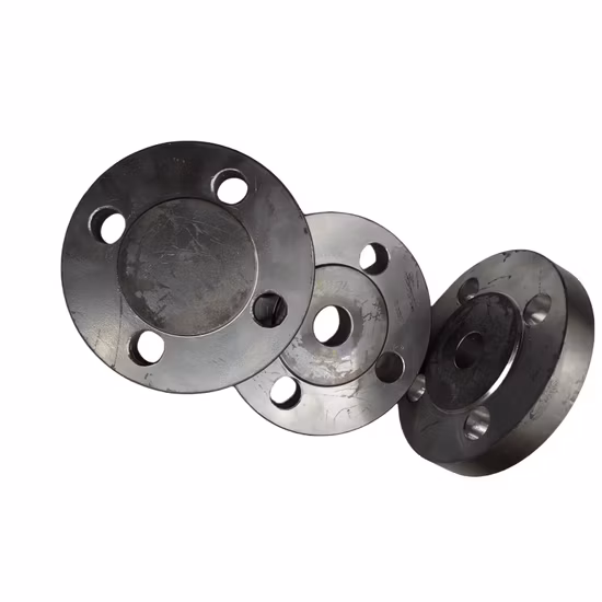 Flange per tubi in acciaio inossidabile forgiato in acciaio al carbonio